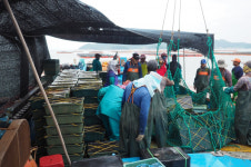 진도전복 ‘나는어부다참전복’, 수익금일부 ‘바다환경보호활동’에 기부