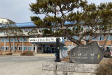 금산군, 금산인삼 비대면 직거래 특별 판매 실시