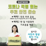 애견분양 전문 베이비몽…강아지 안전운송 무료 실시