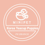 실제분양후기로 검증 된 강아지, 고양이분양 업체 미니펫 해외 지점 설립