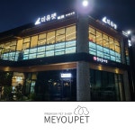 애견샵 미유펫 천안·청주 지점 오픈 기념 이벤트 고양이분양 85% 할인