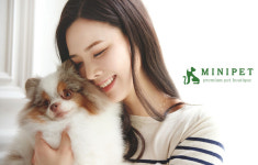 강아지.고양이 전문 분양 미니펫, 안심배송 서비스로 안전하게 만나보는 반려가족