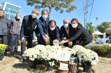 포천시 가산면에서 지역 어르신들이 키운 꽃으로 제1회 국화꽃 전시회 열려