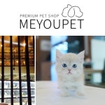 고양이분양 애견샵 미유펫, 반려인 니즈 충족위한 원스톱솔루션 제공