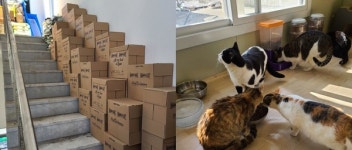 나투어리베, 유기묘 보호소에 해피캣 사료 700kg 기부