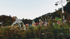 포천 산정호수 명성산 억새꽃 축제, 2021년도 경기관광 대표축제 선정
