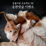 나투어리베 동물사랑 프로젝트 응원 댓글로 사료 기부