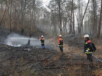 경북 영양군 수비면 한야산 산불 진화 완료