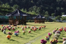 경북 의성군 천제공원, 추석맞이 벌초 시행