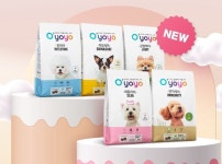 오요요, 반려견의 건강과 영양에 도움되는 맞춤 사료 5종 출시