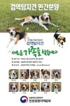 견생 2막, 새 가족 찾아요 검역탐지견 비글 10마리 민간분양