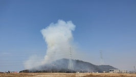 또 산불...경기 안산 구봉도 북망산서 불, 1시간 30여분만에 진화
