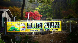 포천 아트밸리 입구에 달사랑 캠핑장 개장 주목