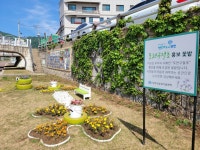 포천시농업기술센터, 포천구절초 20만본 분양