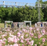 울산 가볼만한 곳, 장미축제 추천...내일 날씨는 어때?