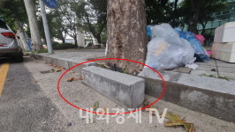 대전 중구청 시민안전을 향한 초스피드 실천 행정