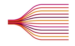 금비, 9월 1일 투자주의종목 지정 스팸관여 과다