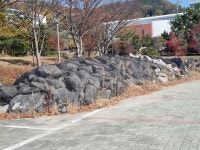 전남도, 숲주차장이 석재 야적장으로 둔갑