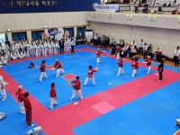 동두천 송내동 실버태권도, 대한태권도협회장배 전국대회에서 종합 1위