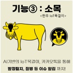 [UP! START] 강원도의 힘 소톡, 축사 관리의 진수 선보인다