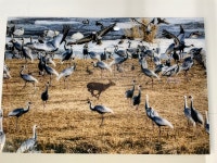 박봉환 작가, 포천 가산 마을공장서 특별한 사진 전시회 개최