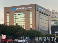 새마을금고, 전문경영인 체제 도입…중앙회장 힘 분산 추진