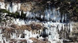 겨울의 신비, 한탄강에 수놓은 고드름