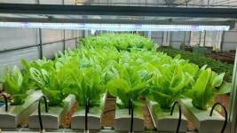 베러투게더, 성남시 율동생태학습원에 스마트팜 교육 지원 확대