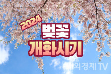 미리보는 2024 벚꽃 개화시기는 언제?