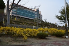 세한대, 개교 30주년 기념 국제 K-Culture 공연 개최