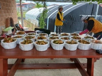 따뜻한 겉절이 김치로 홀로 어려움 겪는 이웃들에게 희망을 전한 포천 군내봉사회