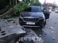 영동고속도로 횡성휴게소 전기차가 차량 4대 연쇄추돌...12명 사상