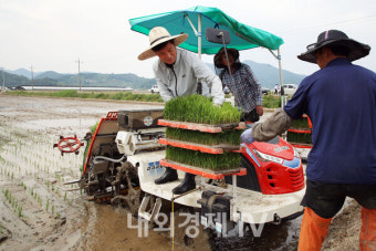 안병구 밀양시장, 영농철 맞아 모내기 현장 격려 방문