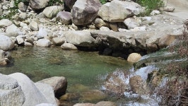 도마치 계곡 환경정화, 포천 지역사회가 함께한 훈훈한 하루