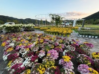 포천한탄강 정원페스타, 개막 준비의 열기가 뜨겁다