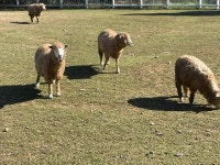 [르포] 포천시 치매가족들의 특별한 가을 나들이