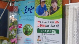 효담이네농원 | 포천 토요장터 '포담포담', 소통과 나눔이 넘치는 농부들의 장터