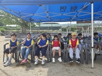 포천 내촌초등학교, 세대를 잇는 봄 운동회 개최