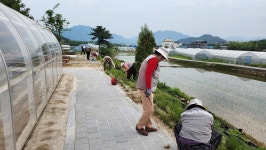 포천 호박마을, 쌈지공원 가꾸며 웃음꽃 피우다