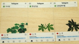 '한강지킴이' 공제중앙회 안전지킴봉사단,  한강 생태계 살리기 운동 실천