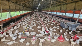 연천군의회 박영철 부의장, 폭염 피해 축산 농가 방문