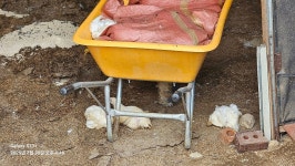 연천군의회 박영철 부의장, 폭염 피해 축산 농가 방문