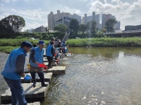깨끗한 포천천을 위해 미꾸라지 1만 마리 방류