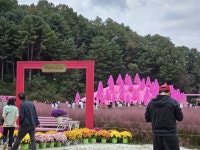 포천 허브아일랜드, 30년 외길 걸어온 임옥 대표의 열정과 변신