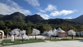 [영상] 억새꽃 만발한 포천 산정호수, 100년의 가을을 열다