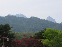   [휴천재일기] ‘오작교가 없어도 노둣돌이 없어도 다시 만나야 할 우리!’ 