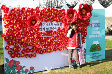   [안내] ‘제주 4·3 70년, 평화의 길을 찾아서’ 