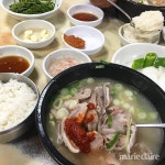 1박2일 #기차여행