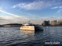 피크닉 세트, 빌려 쓰자