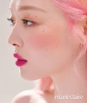 핑크 설리